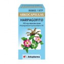 Arkocápsulas Harpagofito (435 mg 168 cápsulas)