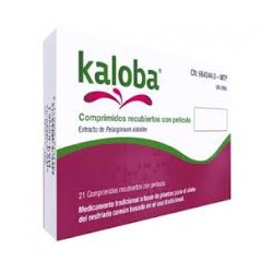 Kaloba (20 Mg 21 comprimidos recubiertos)