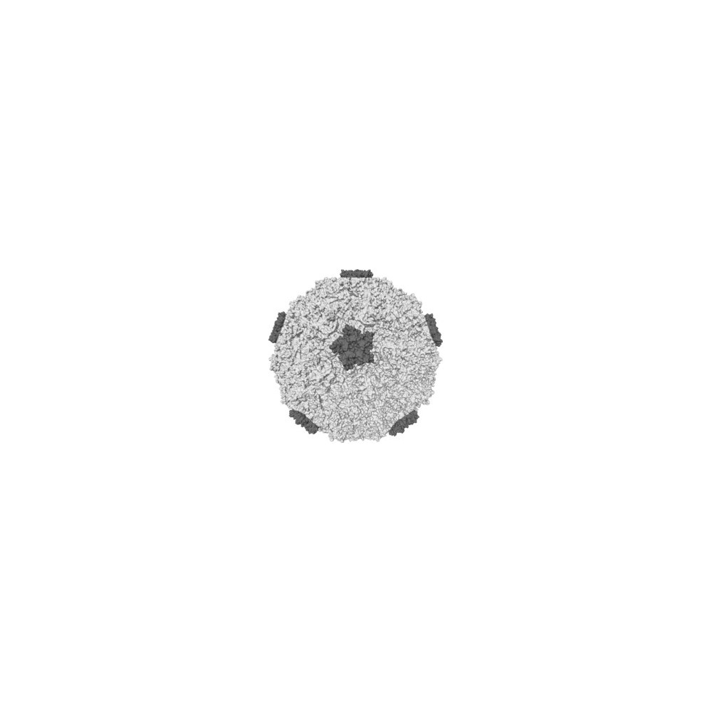 Anticatarrales