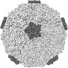 anticatarrhale