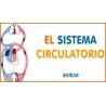 système circulatoire